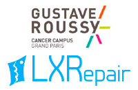 Gustave Roussy and LXRepair announce a partnership for personalized radiotherapy of cancer : the RADIO CARE joint Lab